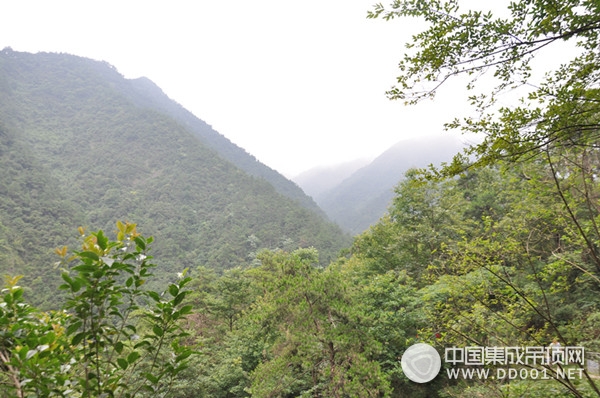 和今頂來一場(chǎng)說走就走的旅行，就在這個(gè)夏天