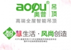 AOPU奧普吊頂2016全屋智能吊頂新品發(fā)布會(huì)暨年中經(jīng)銷商感恩峰會(huì)