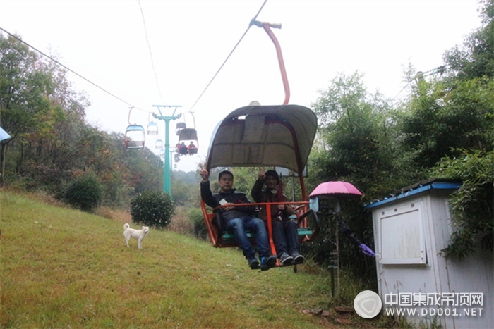 德萊寶開啟“感恩老員工”旅游活動(dòng)，暢游太極洞！