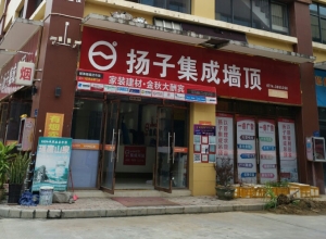 揚(yáng)子集成墻頂廣西梧州專賣店 (194播放)