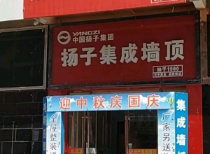 揚(yáng)子集成吊頂江蘇鹽城專賣店 (177播放)