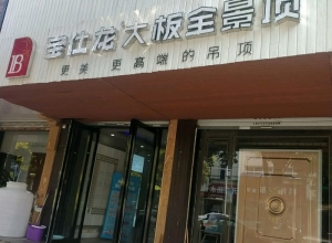 寶仕龍大板全景頂安徽亳州專賣店