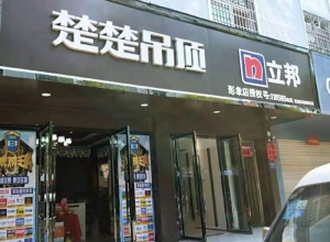 楚楚吊頂江西蓮花縣專賣店 (4168播放)