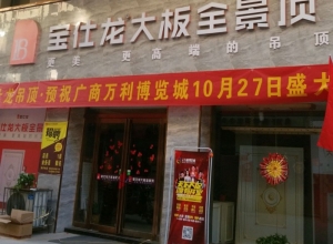 寶仕龍大板全景頂河南周口專賣店