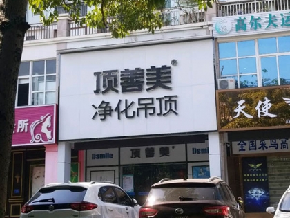 頂善美凈化吊頂廣西北海專賣店