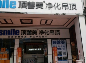 頂善美凈化吊頂廣東江門專賣店