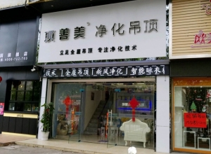 頂善美凈化吊頂廣東茂名專賣店