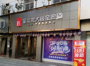 寶仕龍大板全景頂湖北咸寧專賣店