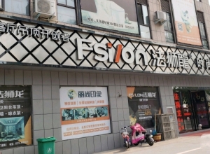 法獅龍時(shí)尚吊頂河南安陽專賣店