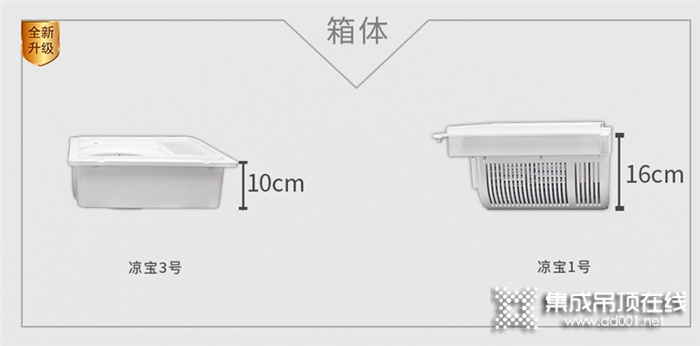 歐美涼寶1號(hào)全面升級(jí)，更名為涼寶3號(hào)啦，它就是你廚房里那顆最貼心的“菜”