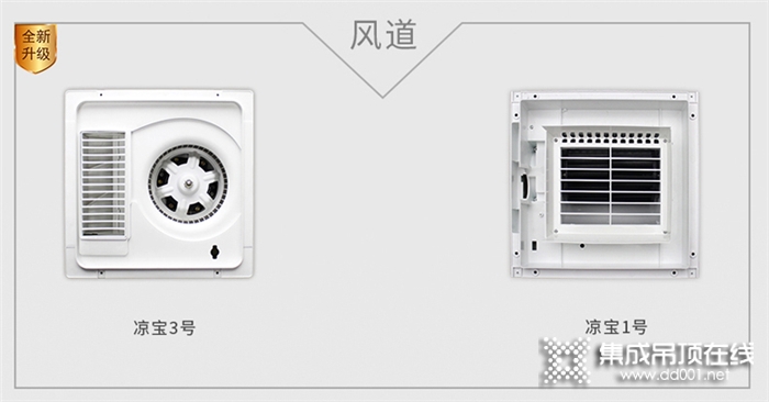 歐美涼寶1號(hào)全面升級(jí)，更名為涼寶3號(hào)啦，它就是你廚房里那顆最貼心的“菜”