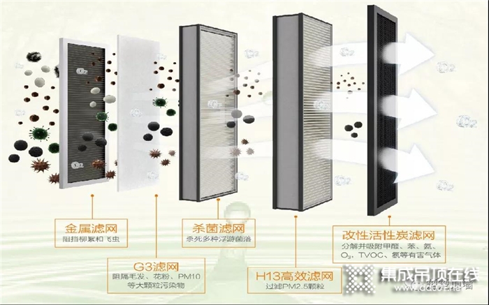 楚楚“風魔一號”，讓你向森林有氧呼吸更近一步