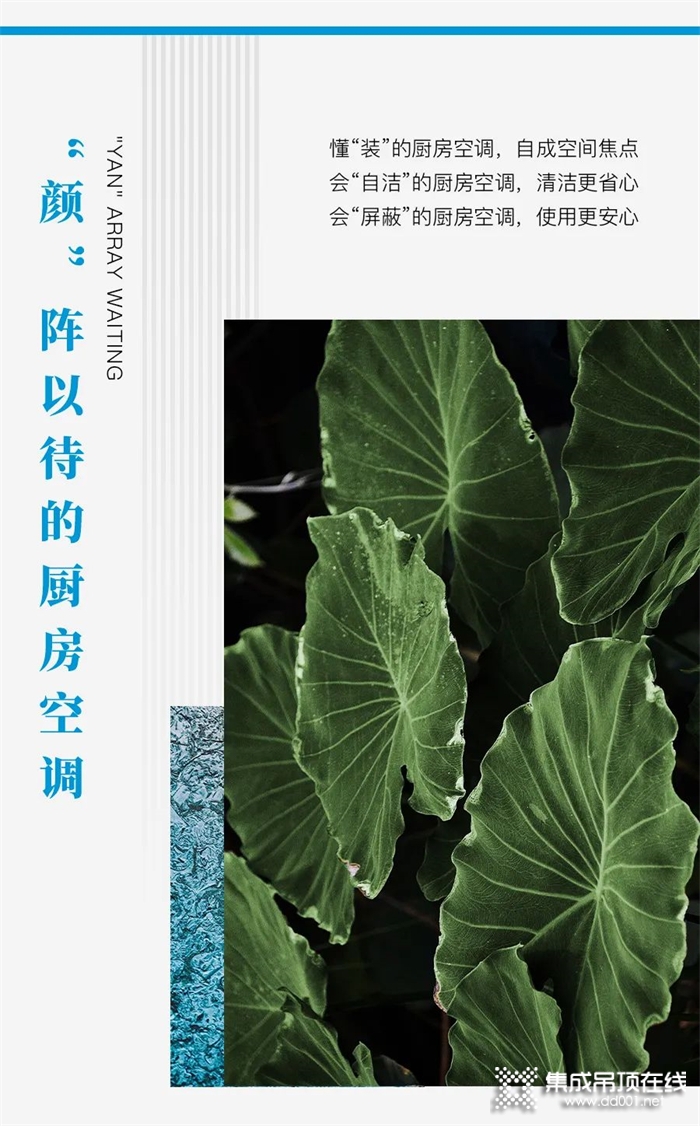 美爾凱特高端廚衛(wèi)吊頂2021最新版「顏質(zhì)雙全廚房」空間圖鑒