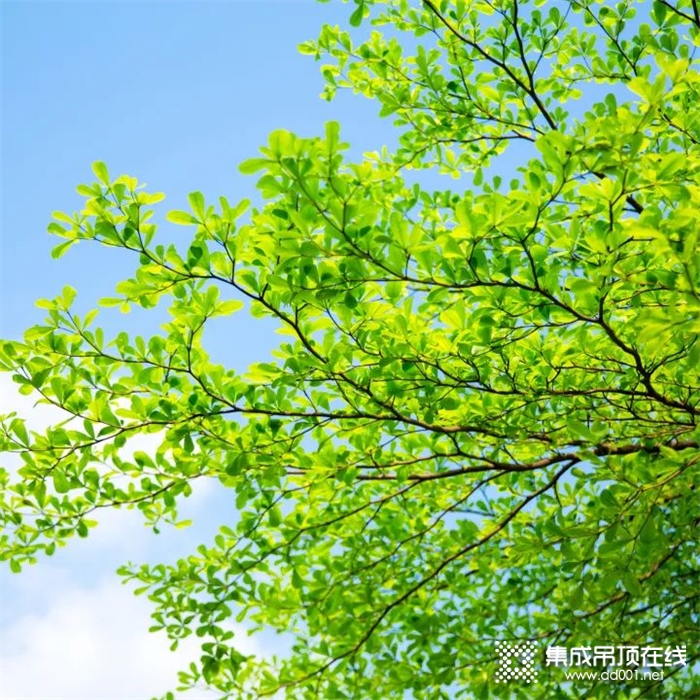 盛夏已至，海創(chuàng)廚房專用空調(diào)帶你清涼入夏！